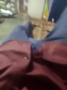 Telugu person12 online show from 03.16.26