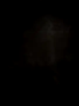 Dior 521 online show from 11.17.25