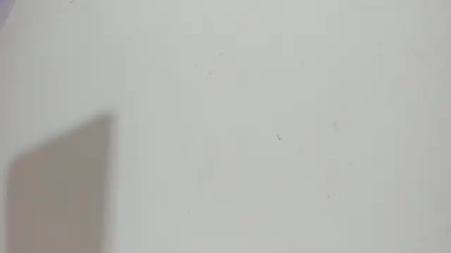 Sophia Ebony online show from 05.15.26