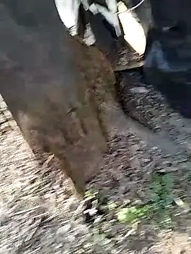 Snapshot of Odecca11 chatting on 03.24.26 Odecca11 online show from 03.24.26