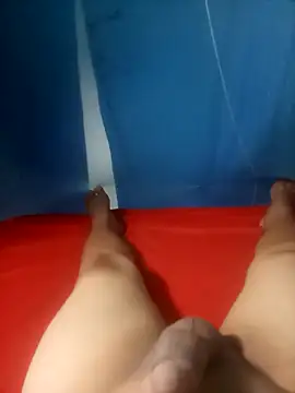 Snapshot of cora08 chatting on 11.04.25 cora08 online show from 11.04.25