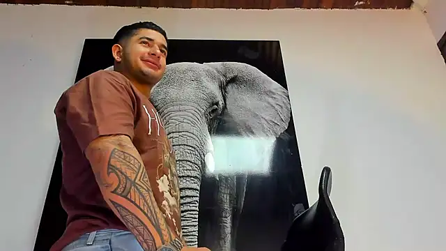 king falconer online show from 10.29.25