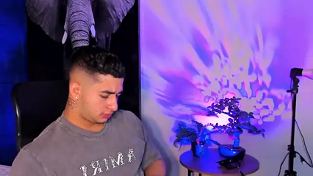 king falconer online show from 11.10.25