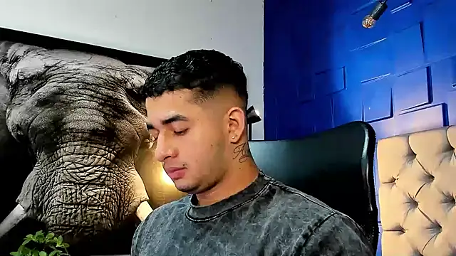 king falconer online show from 11.25.25