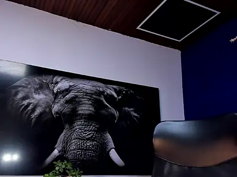 king falconer online show from 01.15.26