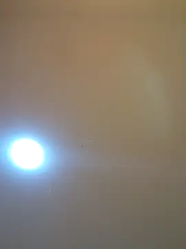 Oriana111 online show from 03.12.26