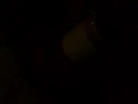 Snapshot of PointXXL chatting on 12.16.25 PointXXL online show from 12.16.25