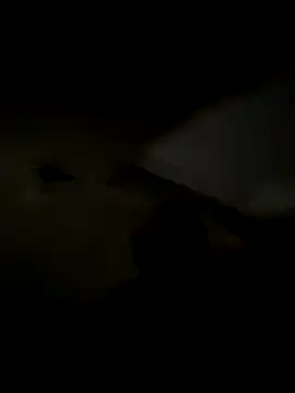 freedmar online show from 11.05.25