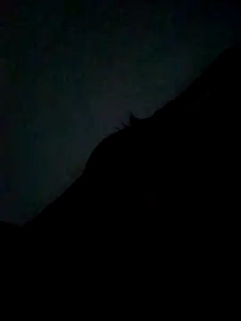 CatchingBouquet online show from 09.21.25