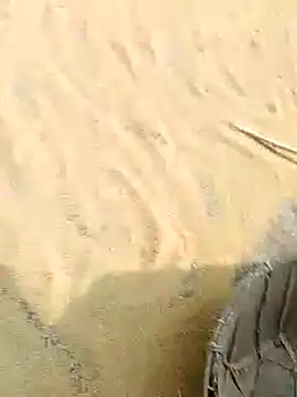 Snapshot of CatchingBouquet chatting on 11.21.25 CatchingBouquet online show from 11.21.25