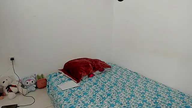 Snapshot of star_shooting8 chatting on 02.20.26 star shooting8 online show from 02.20.26