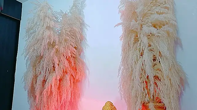 JulietaDavis online show from 02.04.26