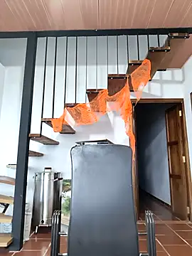 Hiroshi Shen online show from 11.05.25