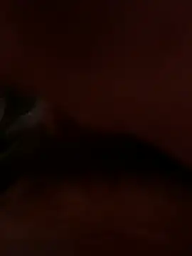 Snapshot of dice4422 chatting on 04.02.26 dice4422 online show from 04.02.26