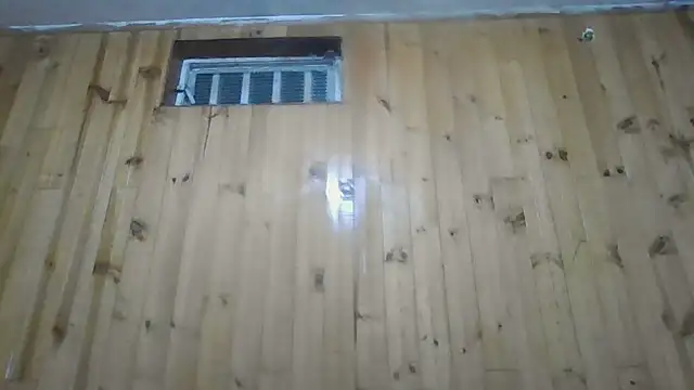 Roselingalvis13 online show from 10.30.25