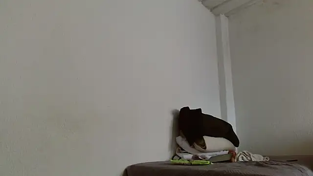 Snapshot of isabel_24_gil chatting on 11.13.25 isabel 24 gil online show from 11.13.25