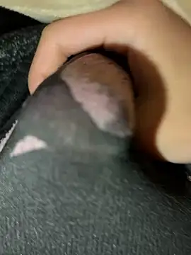 rrrrrriyyffhyeeee online show from 02.16.26