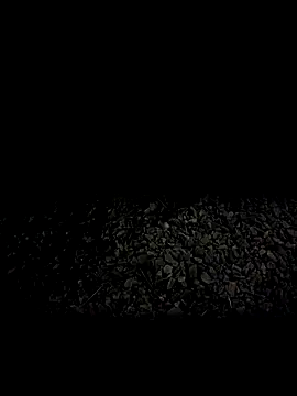 Snapshot of steelwoodVids chatting on 11.19.25 steelwoodVids online show from 11.19.25