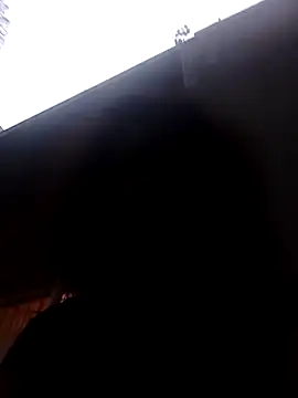 RFeltomWhitJ online show from 11.08.25