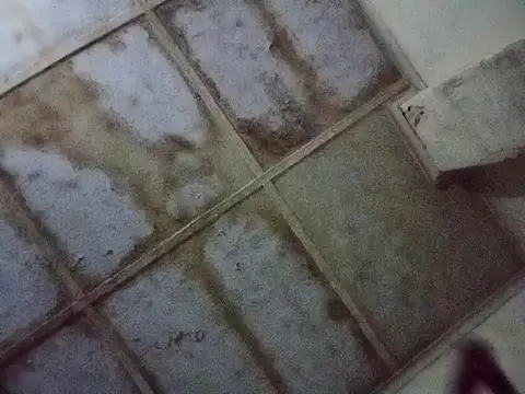 RFeltomWhitJ online show from 11.17.25