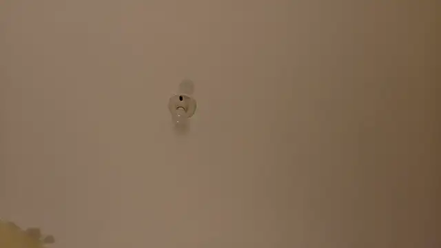 Amanda sweet online show from 10.17.25