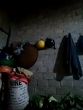 jienrrr online show from 02.24.26