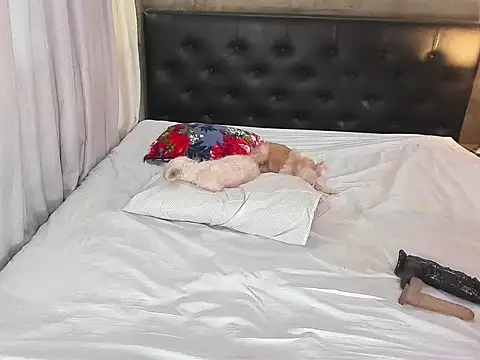 hotbabymaria online show from 11.14.25