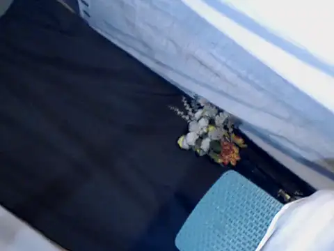 Snapshot of xyourdreamtrans chatting on 09.24.25 xyourdreamtrans online show from 09.24.25