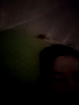 daisylouis online show from 05.07.26