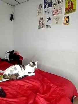 venusobryan 55 online show from 09.18.25