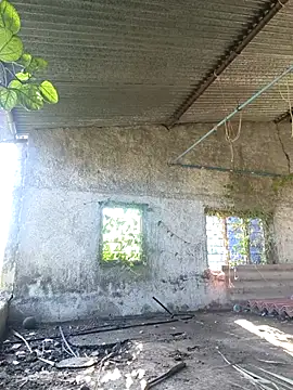 Snapshot of Sunny_cute_love chatting on 10.06.25 Sunny cute love online show from 10.06.25