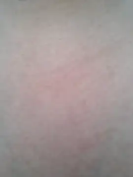 BigBoobs186 online show from 10.20.25