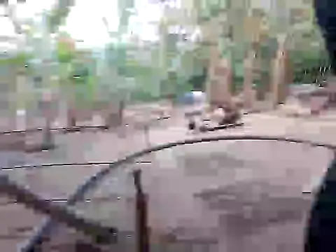 BigBoobs186 online show from 11.10.25