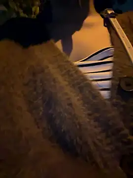 Meii-meyy online show from 01.16.26