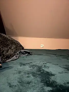 Snapshot of Xx2564 chatting on 01.11.26 Xx2564 online show from 01.11.26