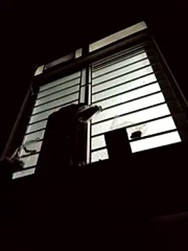 spsale online show from 04.16.26