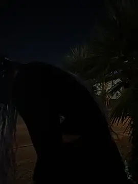 Snapshot of TranSexualJade95 chatting on 11.01.25 TranSexualJade95 online show from 11.01.25