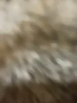 Snapshot of Sayhi_xo chatting on 09.27.25 Sayhi xo online show from 09.27.25