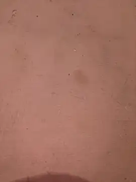 sakshi5533 online show from 11.28.25