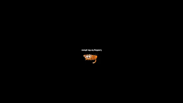 pecsblack888 online show from 09.29.25