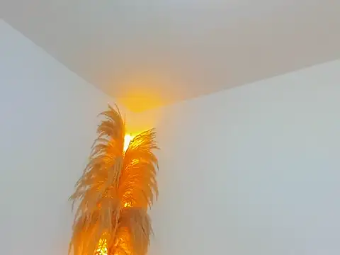 Snapshot of Kieran_kian chatting on 02.13.26 Kieran kian online show from 02.13.26