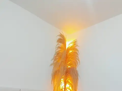 Snapshot of Kieran_kian chatting on 02.14.26 Kieran kian online show from 02.14.26