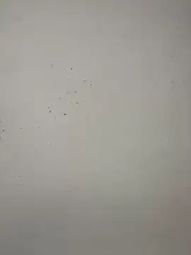 Snapshot of vincentjaxon chatting on 11.27.25 vincentjaxon online show from 11.27.25