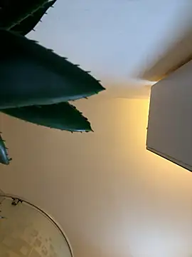 Michel huge online show from 01.12.26