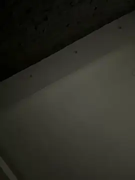 ALANNFERRER online show from 10.04.25