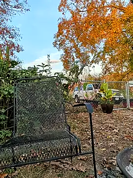 sizableunicorn7 online show from 11.06.25