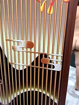 Snapshot of yang-2269 chatting on 11.21.25 yang-2269 online show from 11.21.25