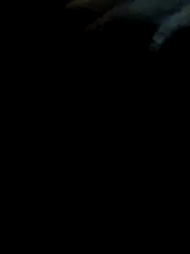 pollitaloca123 online show from 11.07.25