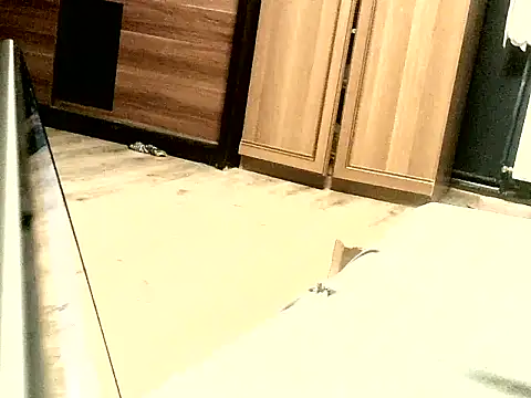 Snapshot of KissMeAss9387 chatting on 09.28.25 KissMeAss9387 online show from 09.28.25