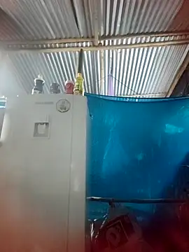 Lily-o online show from 11.22.25